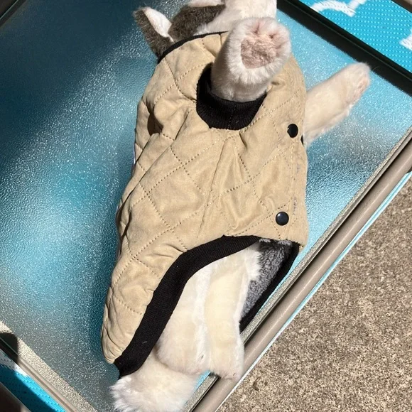 Dog coat - Picture 3 of 6